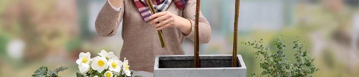 Place three bundles of twigs in the box.