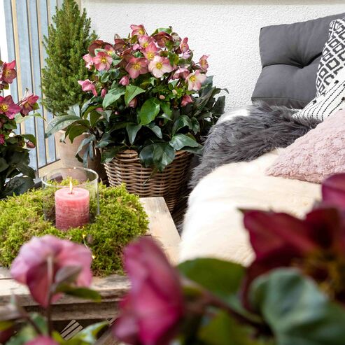 Use your balcony in the winter