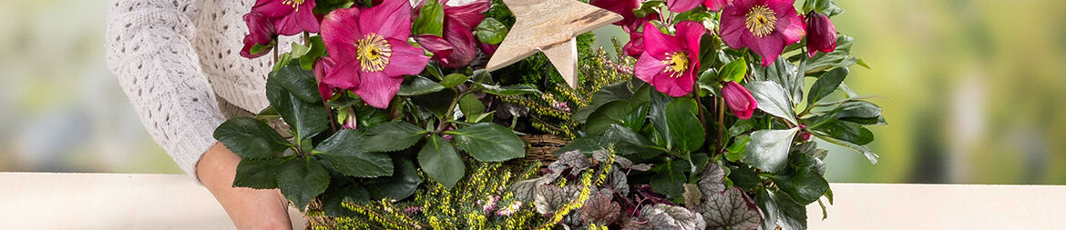 Decorate wooden stars.