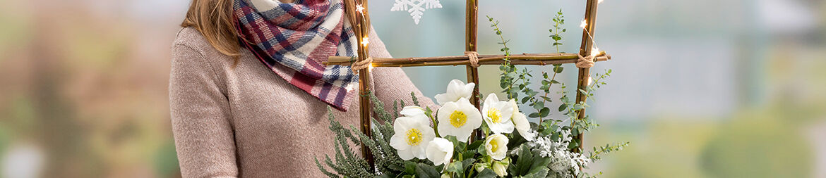 Illuminated branch window frame in a concrete box, planted with Christmas roses and hardy perennials.