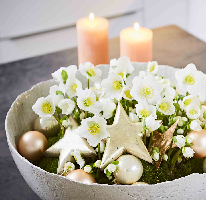 La rosa di Natale White Christmas® in un centrotavola di terracotta decorata con palline e stelle natalizie